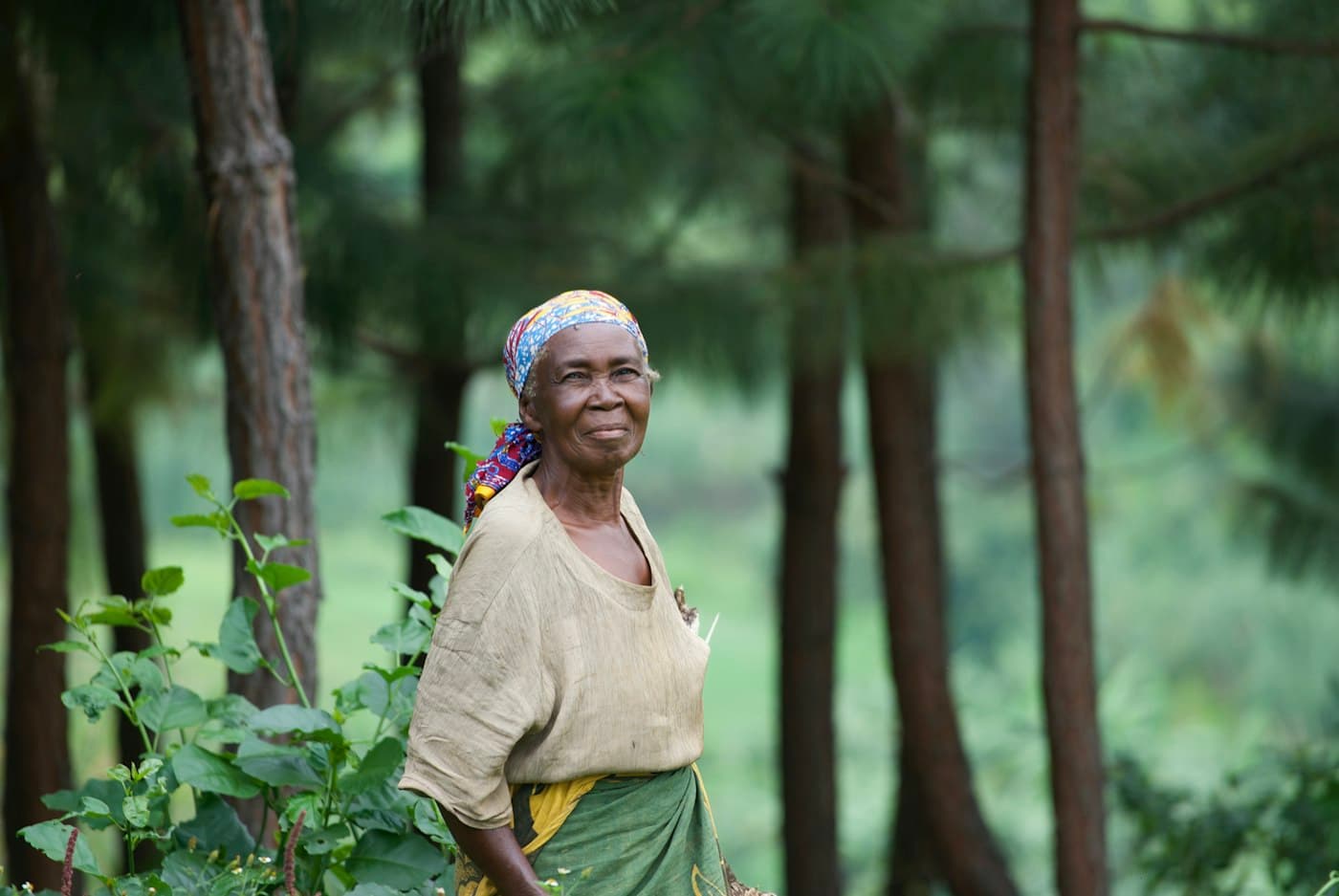 A smiling elderly woman in a headscarf standing among trees