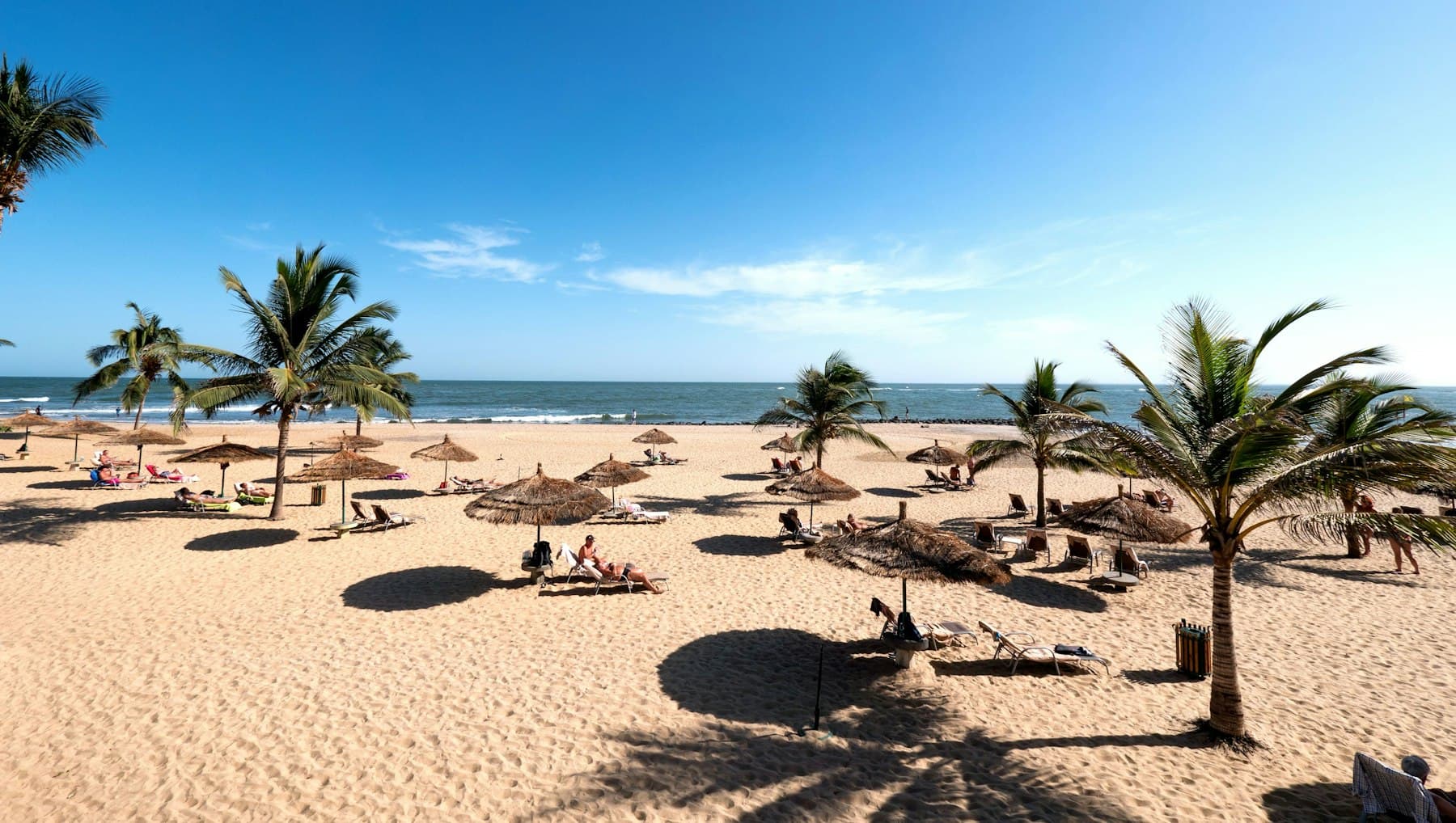Palm trees and parasols on a Gambian beach